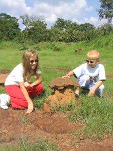 Bernice und Timon untersuchen einen Termitenbau.