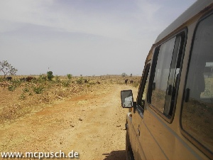 Blick am Fahrzeug längs: Staubiger Weg, wüstenähnliche Landschaft, in welcher einige Rinder nach Verwertbarem suchen.