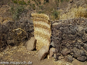 Umfriedung aus Stein, von außen mit Dornen gegen Tiere geschützt, mit einer Matte als Tür